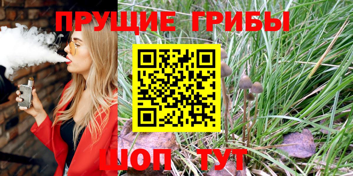 Галлюциногенные грибы MAGIC MUSHROOMS Кольчугино